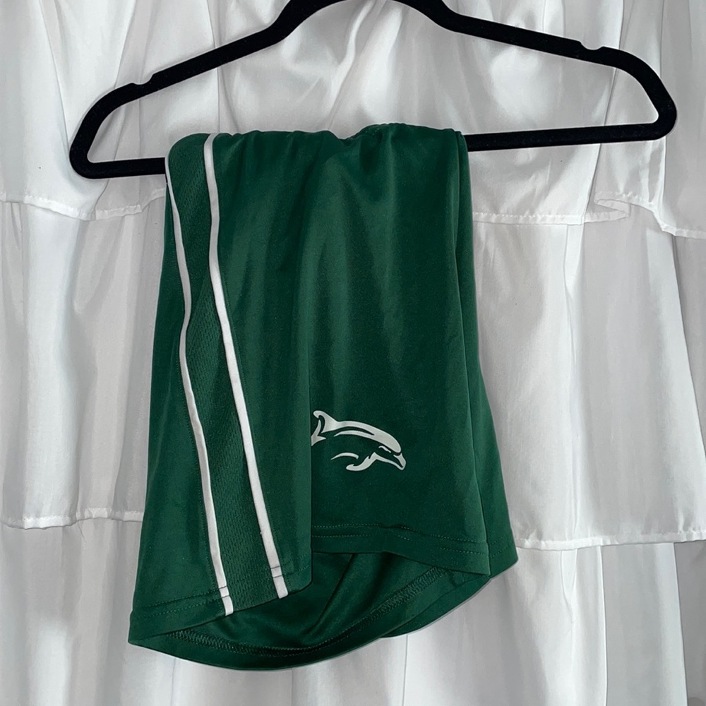 Le Moyne college Nike green athletic shorts